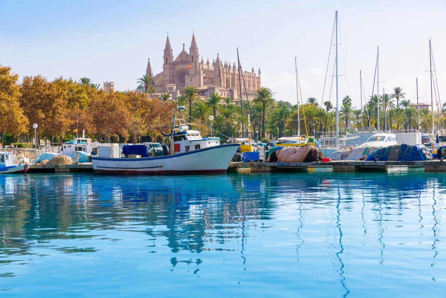 Palma de Mallorca: Privat tur till fots