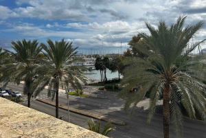 Palma de Mallorca: Privat tur till fots