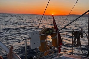 Palma de Mallorca: Segelbåtsmiddag och filmkväll