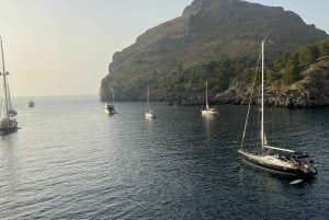Palma de Mallorca: Aventura en velero con aperitivos y bebidas