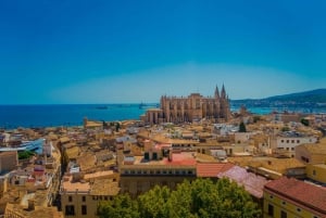 Palma de Mallorca: Audiotur med egen guide