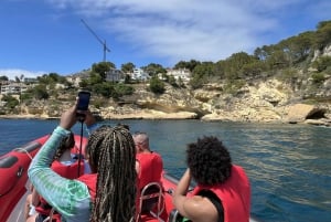 Palma de Majorque : visite touristique en bateau à moteur avec prise en charge