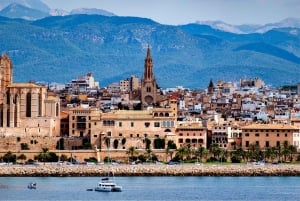 Palma de Mallorca: Small-Group History & Culture Tour