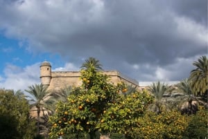 Palma de Mallorca: Small-Group History & Culture Tour