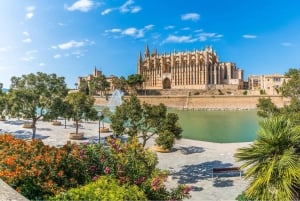Palma de Maiorca: excursão a pé e catedral com pastelaria