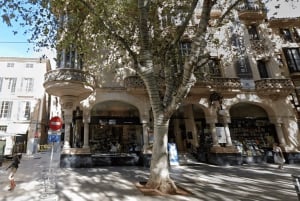 Palma de Mallorca: tour a pie en grupo reducido