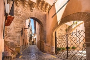 Palma de Mallorca: tour a pie en grupo reducido