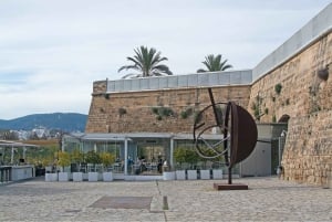 Palma de Mallorca: tour a pie en grupo reducido