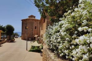 Palma de Mallorca: Rondleiding in kleine groep door plaatselijke bewoners in verborgen baaien
