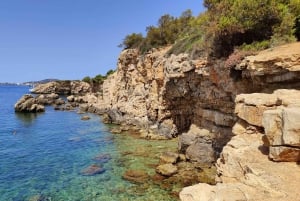 Palma de Mallorca: Rundtur i liten grupp med lokalbefolkningen i dolda vikar