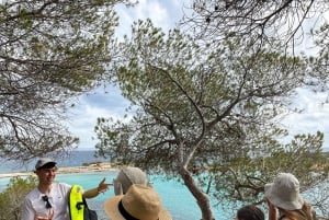 Palma de Mallorca: Rundtur i liten grupp med lokalbefolkningen i dolda vikar