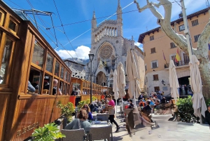 PALMA DE MALLORCA & SOLLER MIT BAHN & STADTFÜHRUNG ab Palma