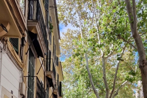 PALMA DE MALLORCA & SOLLER MIT BAHN & STADTFÜHRUNG ab Palma