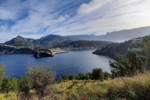 PALMA DE MALLORCA & SOLLER MIT BAHN & STADTFÜHRUNG ab Palma