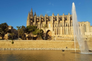 PALMA DE MALLORCA & SOLLER MIT BAHN & STADTFÜHRUNG ab Palma