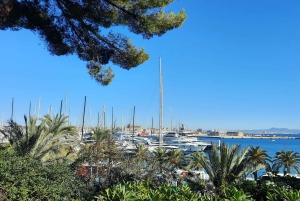 PALMA DE MALLORCA & SOLLER MIT BAHN & STADTFÜHRUNG ab Palma