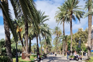 PALMA DE MALLORCA & SOLLER MIT BAHN & STADTFÜHRUNG ab Palma