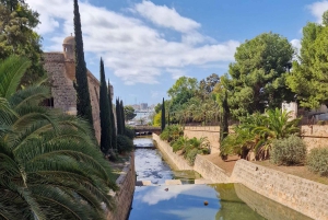 PALMA DE MALLORCA & SOLLER MIT BAHN & STADTFÜHRUNG ab Palma