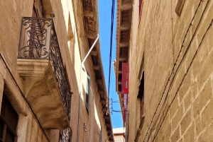 PALMA DE MALLORCA & SOLLER MIT BAHN & STADTFÜHRUNG ab Palma