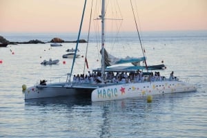 Palma de Mallorca: Sejltur i katamaran ved solnedgang med drink