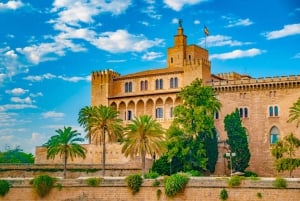 Palma de Mallorca: Private Walking Tour