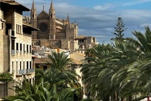 Palma de Mallorca: Private Walking Tour