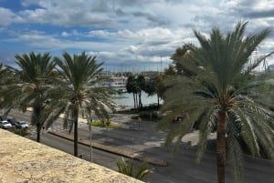 Palma de Mallorca: Private Walking Tour