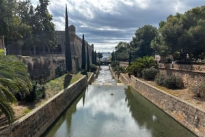 Palma de Mallorca: Private Walking Tour