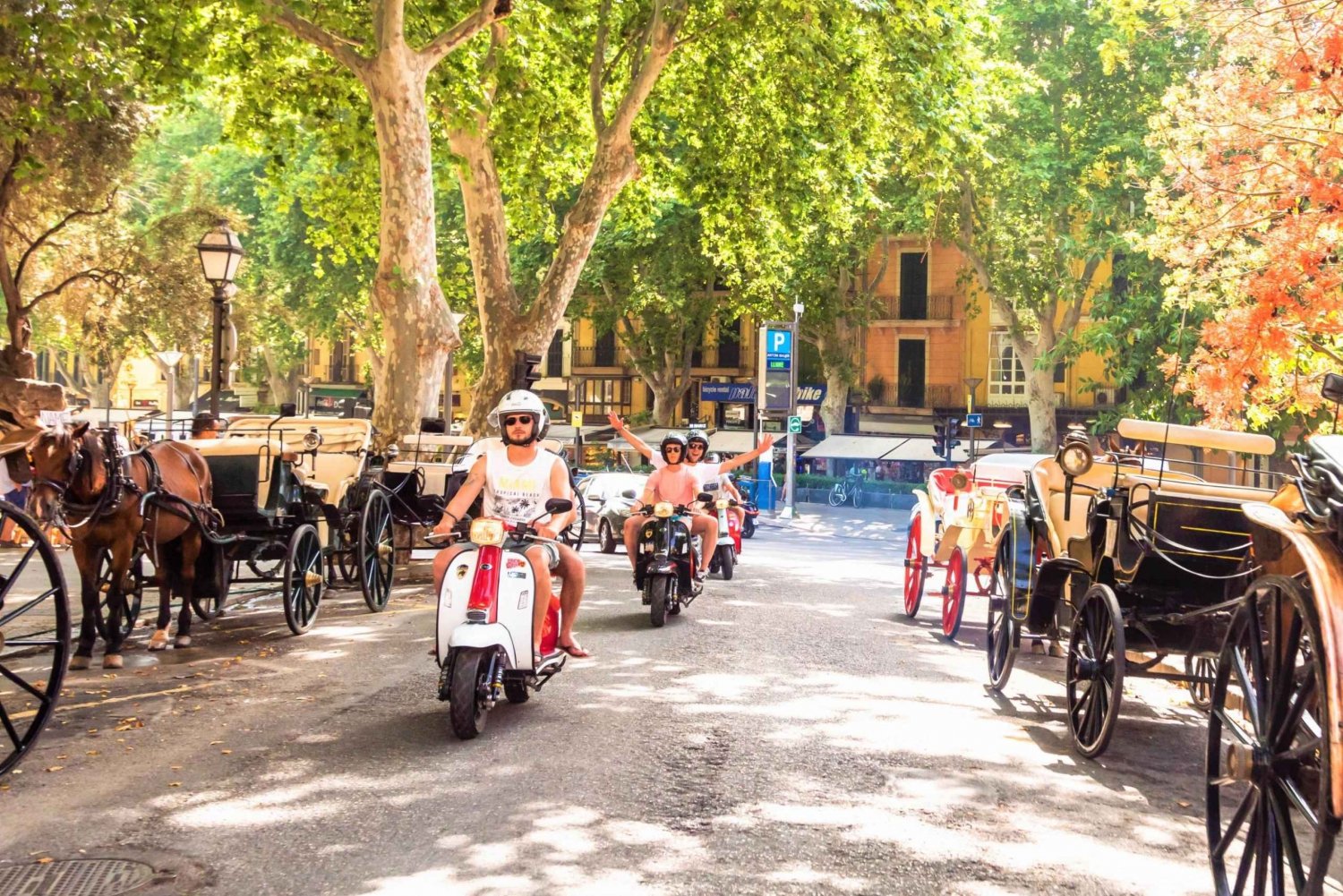 Palma de Mallorca: Automatic Scooter Rental