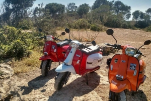 Palma de Mallorca: Vintage Scooter Rental