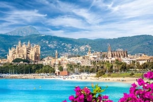 Palma de Mallorca: Walking Tour with Audio Guide on App