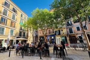Palma de Mallorca: Wine Tasting with Five Glasses & Tapas