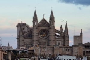 Tour delle cantine, della storia e della gastronomia di Palma di Maiorca