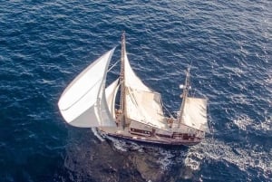 Palma de Mallorca: Træsejlbåd; mad, udsigt og historie