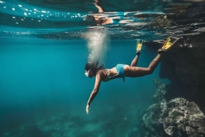 パルマ：スナック、ドリンク、SUP、シュノーケリング付きのデラックスカタマラン