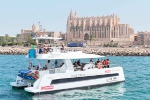 パルマ：スナック、ドリンク、SUP、シュノーケリング付きのデラックスカタマラン