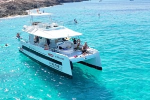 パルマ：スナック、ドリンク、SUP、シュノーケリング付きのデラックスカタマラン