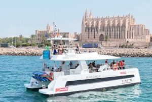 パルマ：スナック、ドリンク、SUP、シュノーケリング付きのデラックスカタマラン