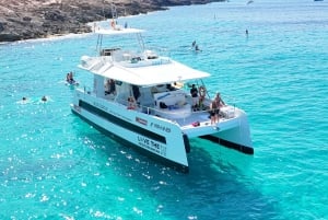 パルマ：スナック、ドリンク、SUP、シュノーケリング付きのデラックスカタマラン