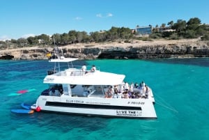 パルマ：スナック、ドリンク、SUP、シュノーケリング付きのデラックスカタマラン