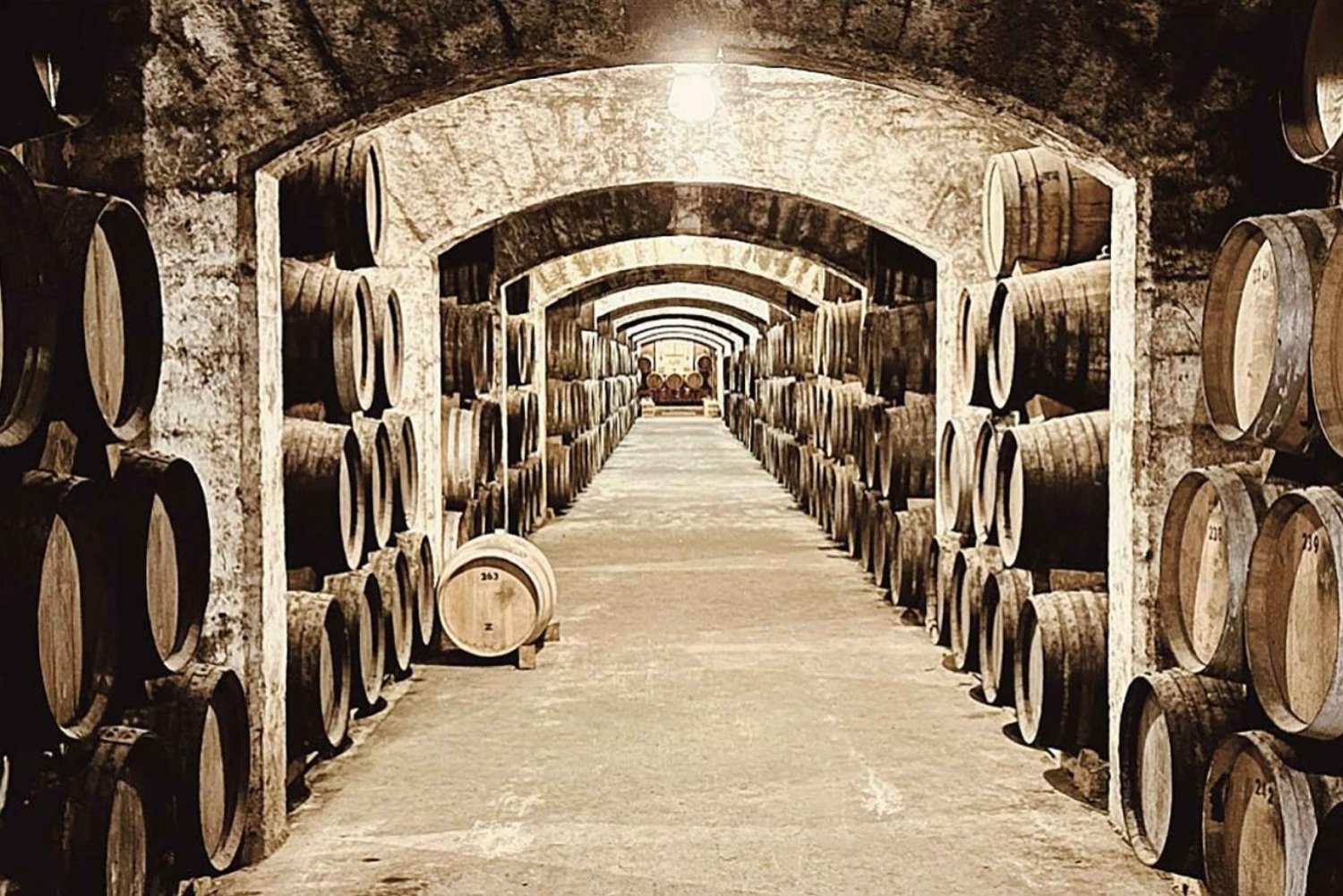 Palma: Destilleritur med 6 spiritusser og tapas-smagning