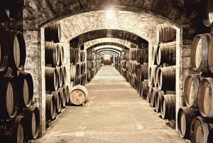 Palma: Distillery Tour with 3 Spirits and Tapas Tasting