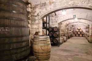 Palma: Distillery Tour with 3 Spirits and Tapas Tasting