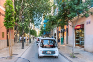 Palma e-tours: City Highlights by Electric Car