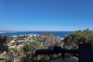 Palma: Electric Mountain Adventure: Ride Higher, Go Farther!