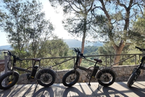 Palma: Sähköinen vuoristoseikkailu: Aja korkeammalle, mene pidemmälle!