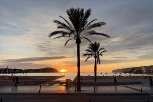 Palma: Sähköinen vuoristoseikkailu: Aja korkeammalle, mene pidemmälle!