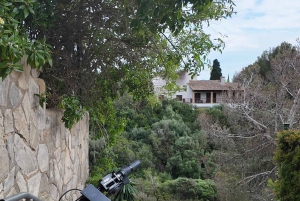 Palma: Sähköinen vuoristoseikkailu: Aja korkeammalle, mene pidemmälle!