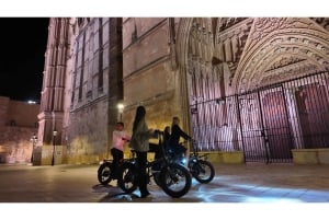 Palma: Eksklusiv byrundvisning på elcykel med højdepunkter