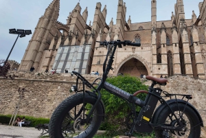 Palma: Exclusive City Highlights E-Bike Tour